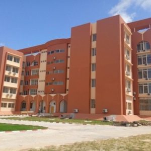 Etude et supervision des travaux de construction et d’équipement en mobilier du siège de la Direction Générale des Douanes et Impôts à N’Djamena (R + 9)